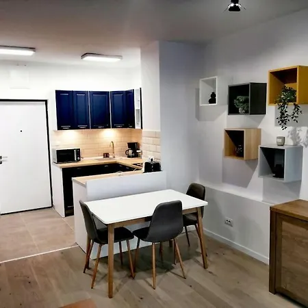 Luxury 1-bedroom Free Parking * 클루지나포카